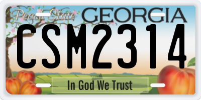 GA license plate CSM2314