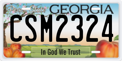 GA license plate CSM2324