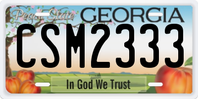 GA license plate CSM2333