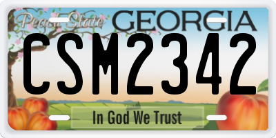 GA license plate CSM2342
