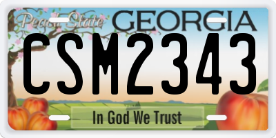 GA license plate CSM2343