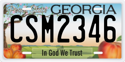 GA license plate CSM2346