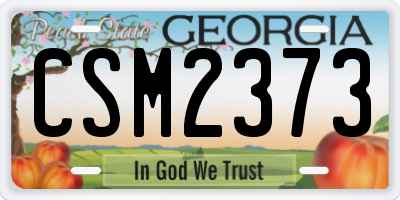 GA license plate CSM2373