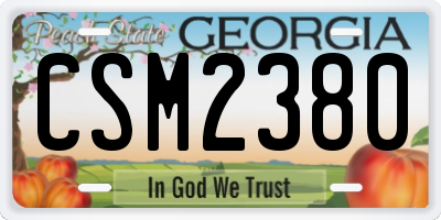 GA license plate CSM2380