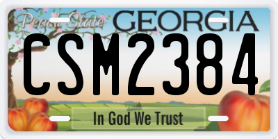 GA license plate CSM2384