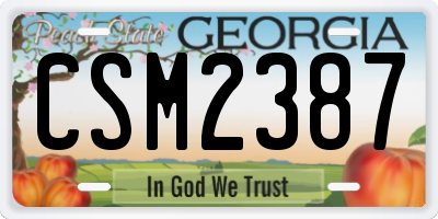 GA license plate CSM2387