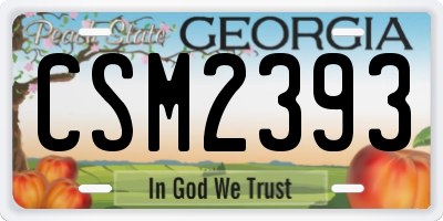 GA license plate CSM2393