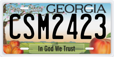 GA license plate CSM2423