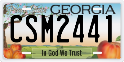 GA license plate CSM2441