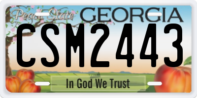 GA license plate CSM2443