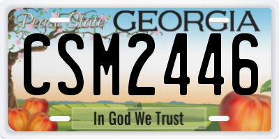 GA license plate CSM2446