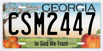 GA license plate CSM2447