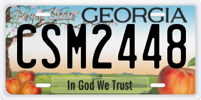GA license plate CSM2448