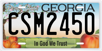 GA license plate CSM2450