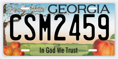 GA license plate CSM2459