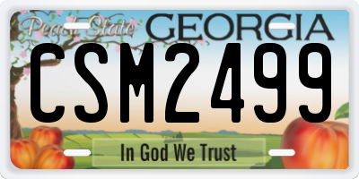 GA license plate CSM2499