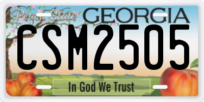 GA license plate CSM2505
