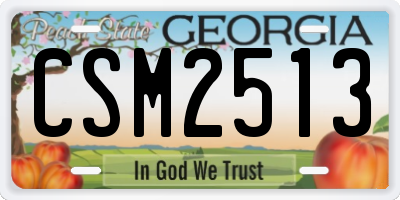GA license plate CSM2513