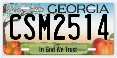 GA license plate CSM2514