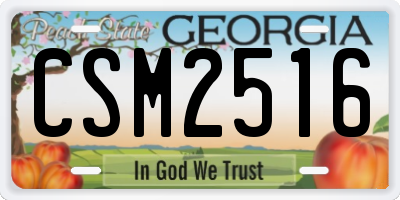 GA license plate CSM2516