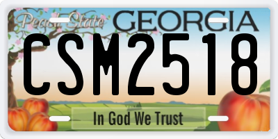 GA license plate CSM2518