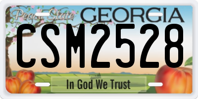 GA license plate CSM2528