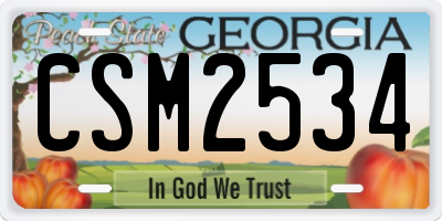 GA license plate CSM2534