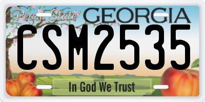 GA license plate CSM2535
