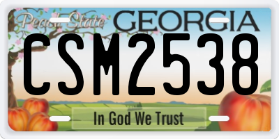 GA license plate CSM2538