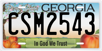 GA license plate CSM2543