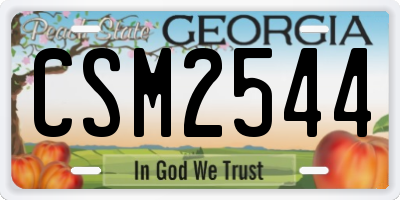 GA license plate CSM2544