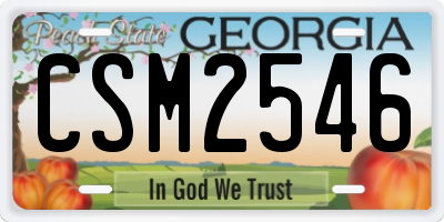 GA license plate CSM2546