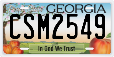 GA license plate CSM2549