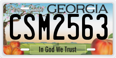GA license plate CSM2563