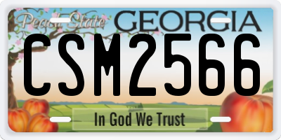 GA license plate CSM2566