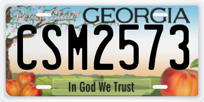 GA license plate CSM2573