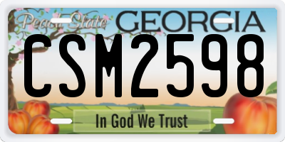 GA license plate CSM2598