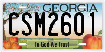 GA license plate CSM2601