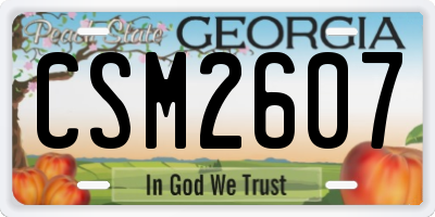 GA license plate CSM2607