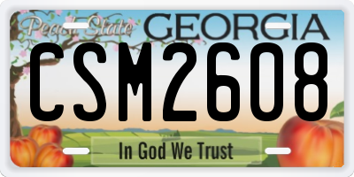 GA license plate CSM2608