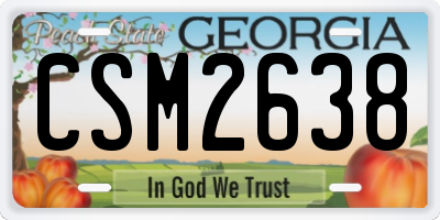 GA license plate CSM2638