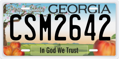GA license plate CSM2642