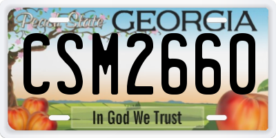 GA license plate CSM2660