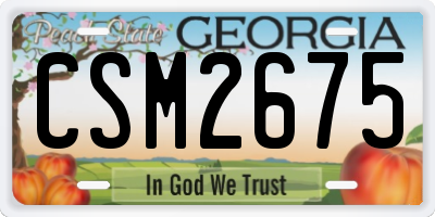 GA license plate CSM2675