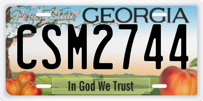 GA license plate CSM2744