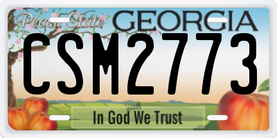 GA license plate CSM2773