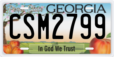 GA license plate CSM2799