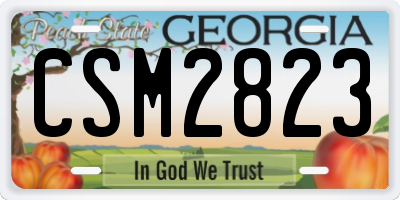 GA license plate CSM2823