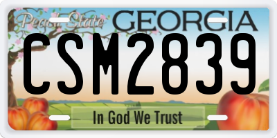 GA license plate CSM2839