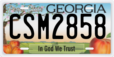 GA license plate CSM2858
